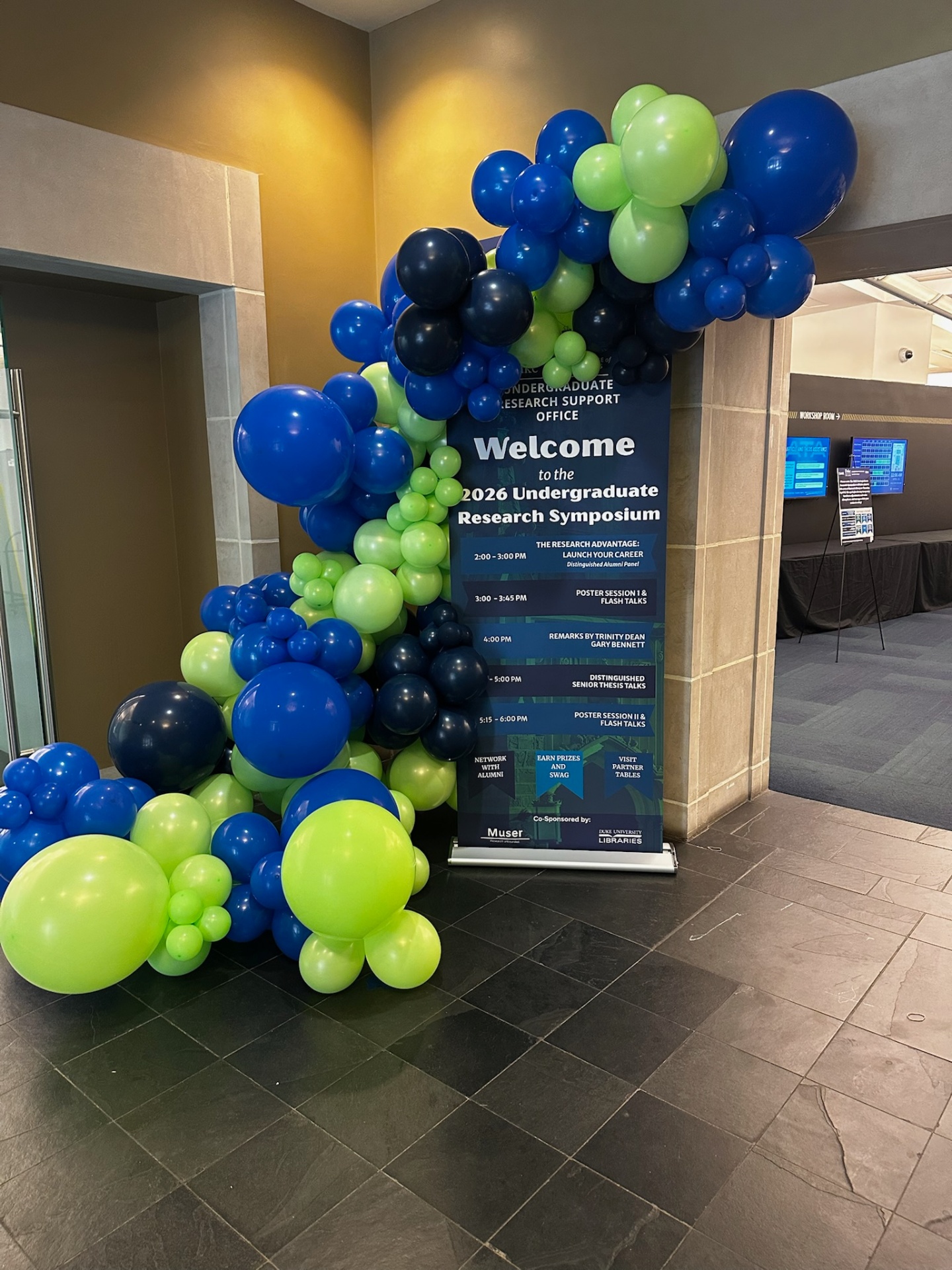 Balloon Garlands